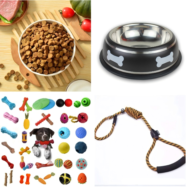 Preparation before getting a dog
