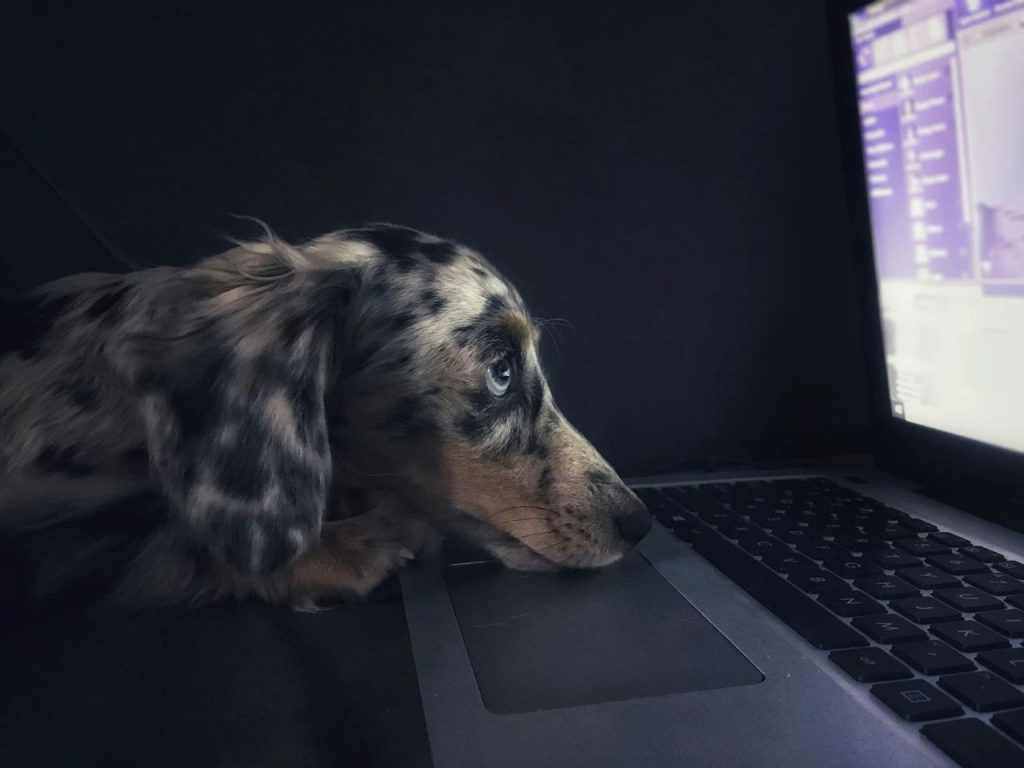 A dog pacing anxiously alone at home