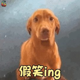 The Truth About Dog Ownership