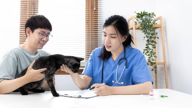 Dog Illness Signs Every Pet Owner Should Know
